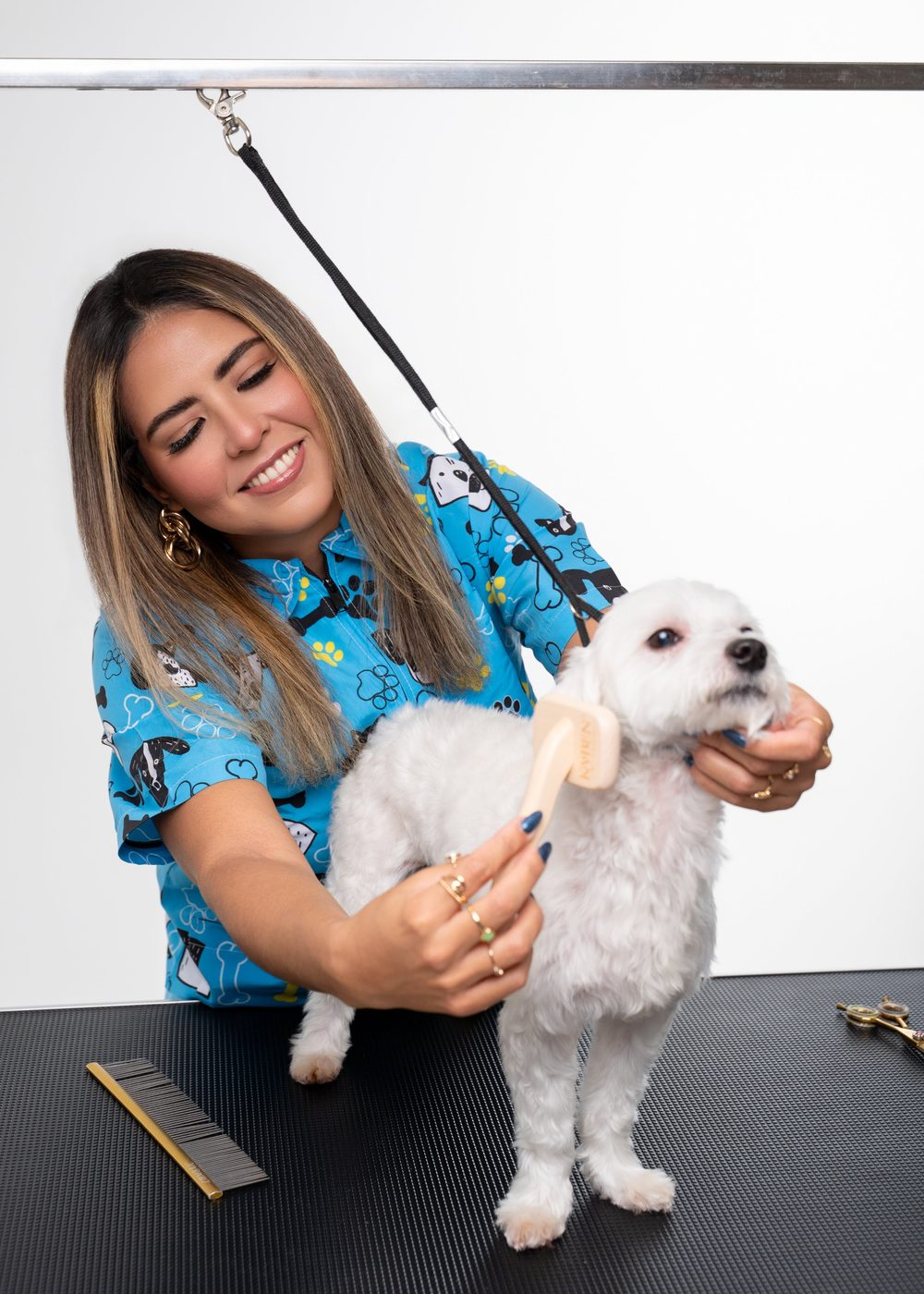 Vanessa gently brushing Bubbles, gold comb and shears on the table