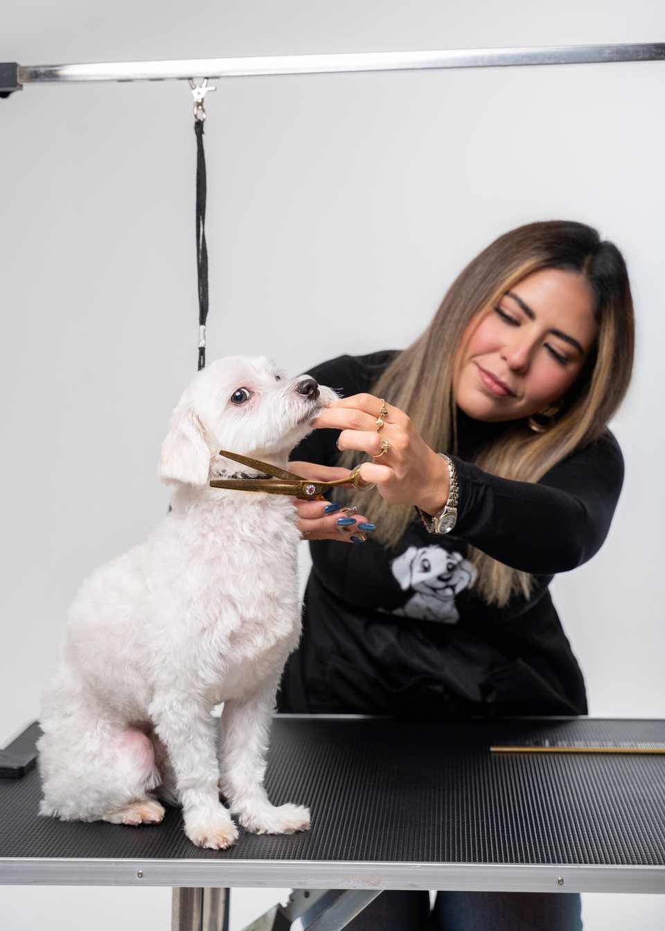 Vanessa Fear-Free grooming a small white dog at the table with gold shears